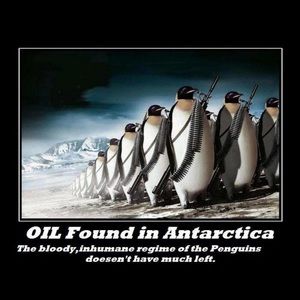 Meet your Posher, Nathan